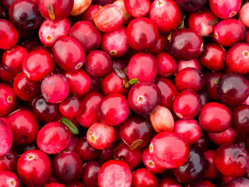 Cranberry apple stuffing